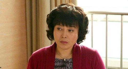 丁嘉丽现老公是谁,揭秘新任丈夫身份