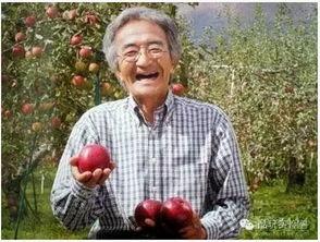 日本大叔 木村,日本文化传承的使者与时尚潮流的引领者