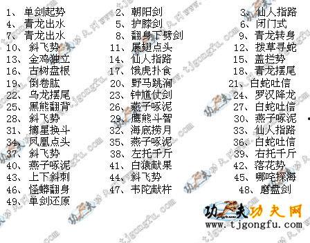 陈氏太极剑49式视频,剑法精妙，动静结合的武术瑰宝